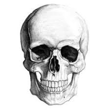 Skull clipart