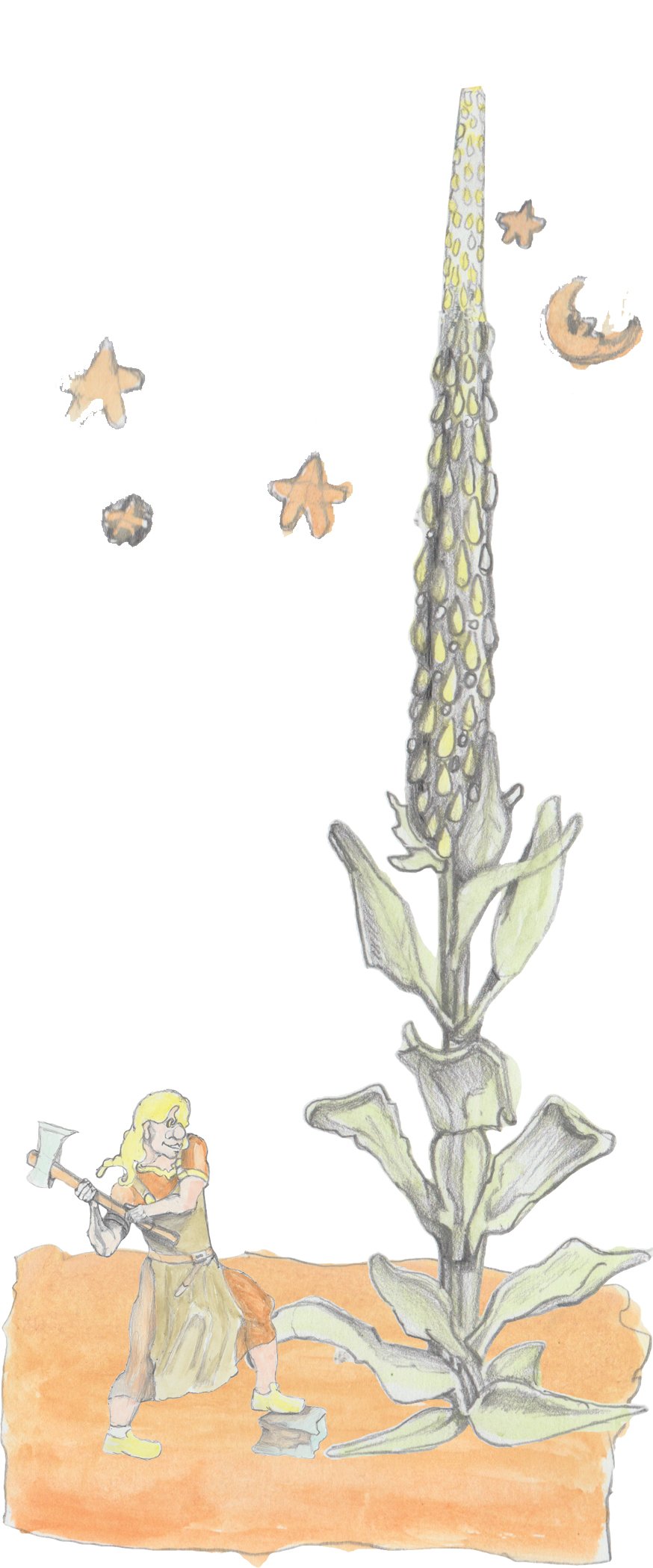 Helgi cutting down a giant mullein that is reaching up to the stars.